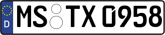 MS-TX0958