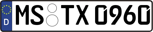MS-TX0960
