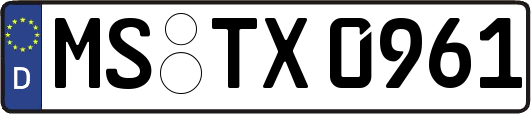 MS-TX0961