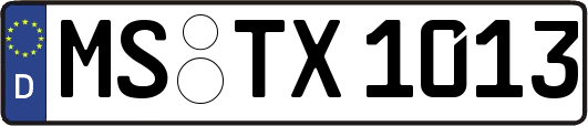 MS-TX1013
