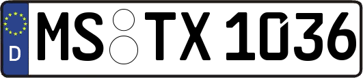 MS-TX1036