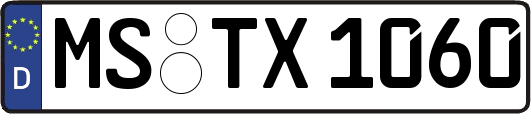 MS-TX1060