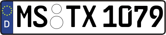 MS-TX1079