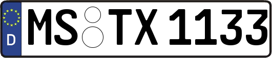 MS-TX1133