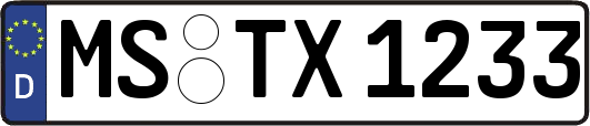 MS-TX1233
