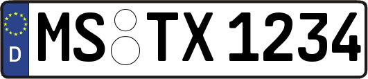 MS-TX1234