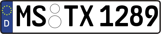 MS-TX1289