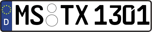 MS-TX1301