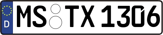 MS-TX1306