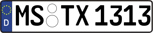 MS-TX1313