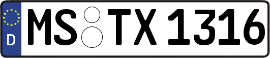 MS-TX1316