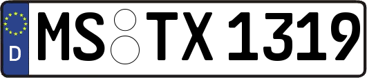 MS-TX1319