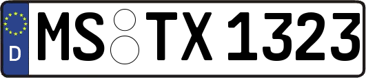 MS-TX1323