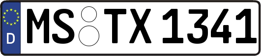 MS-TX1341