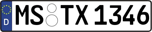 MS-TX1346