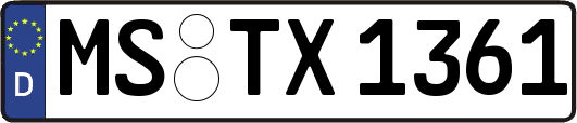 MS-TX1361