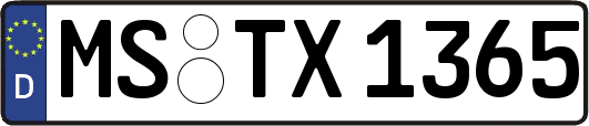 MS-TX1365