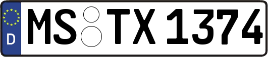 MS-TX1374