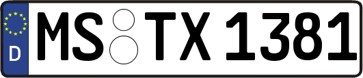 MS-TX1381