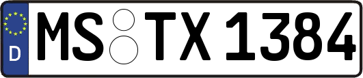 MS-TX1384
