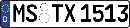 MS-TX1513
