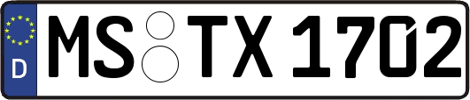 MS-TX1702