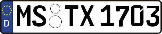 MS-TX1703