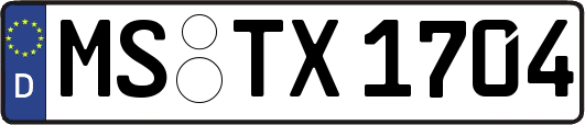 MS-TX1704