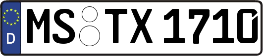 MS-TX1710