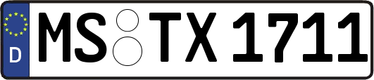 MS-TX1711