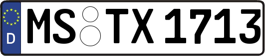 MS-TX1713