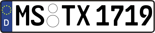 MS-TX1719