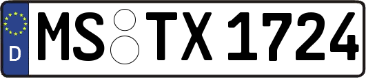 MS-TX1724