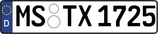 MS-TX1725