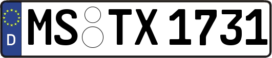 MS-TX1731
