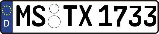 MS-TX1733