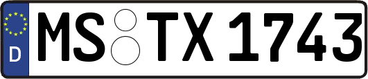 MS-TX1743
