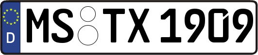 MS-TX1909