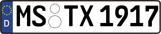 MS-TX1917