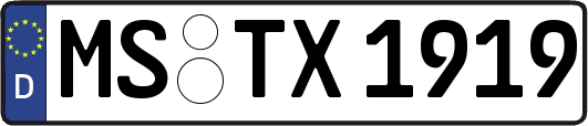 MS-TX1919