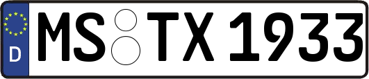 MS-TX1933