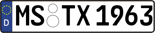 MS-TX1963