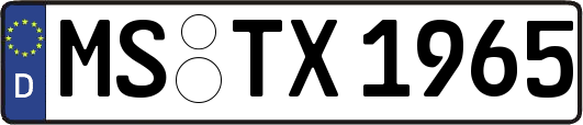 MS-TX1965