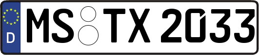 MS-TX2033