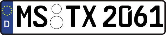 MS-TX2061