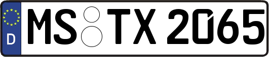 MS-TX2065