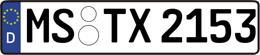 MS-TX2153