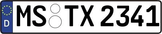 MS-TX2341