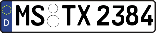MS-TX2384