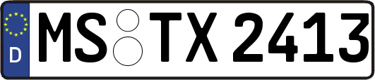 MS-TX2413